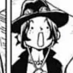 Meet your Posher, Bee